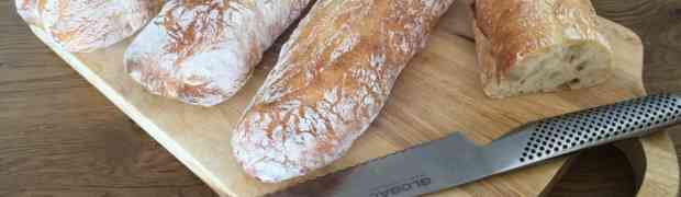 Ciabatta - Italian Sandwich Loaves